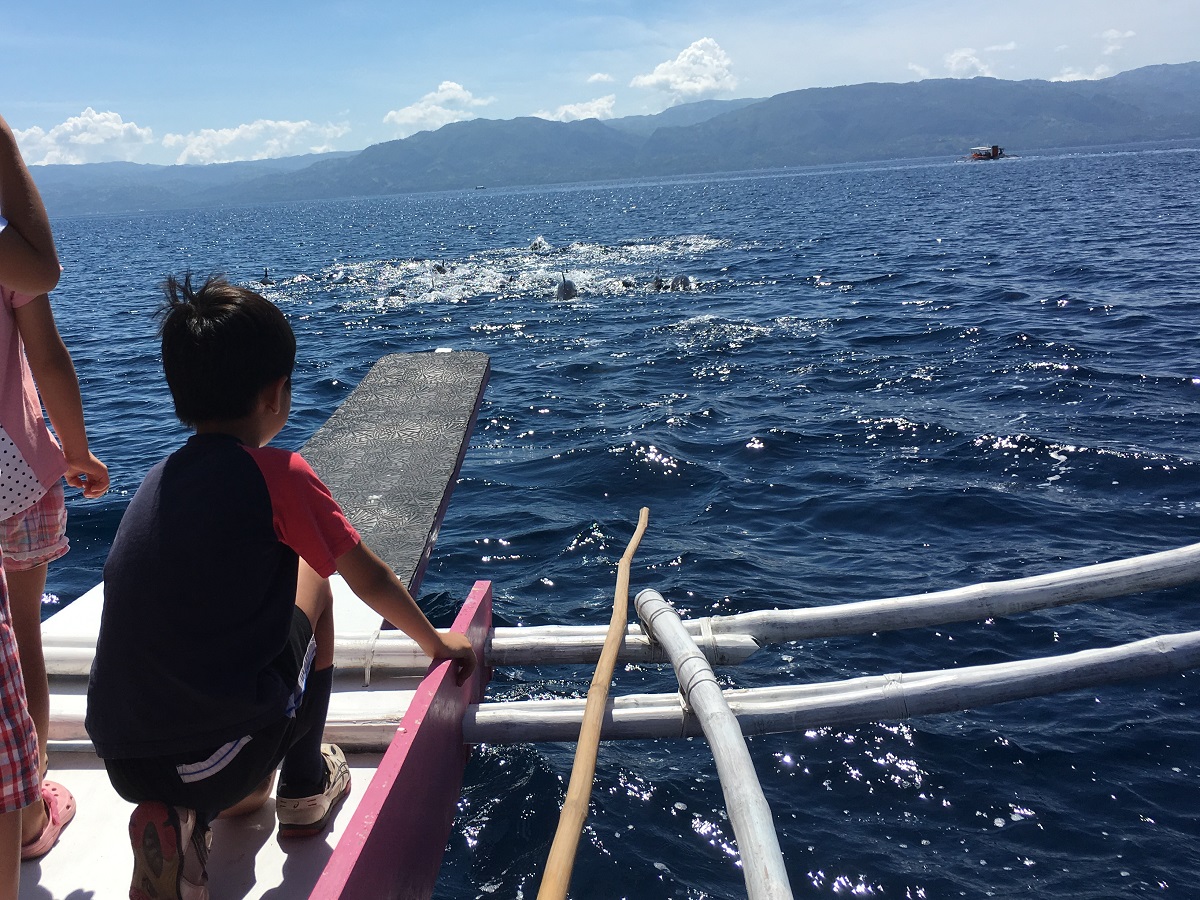 バイス市のホワイトサンドバーとドルフィンウォッチングの景色