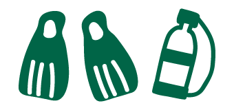 Profitez des meilleurs sites de plongée et de snorkeling au monde pendant vos week-ends à Dumaguete.