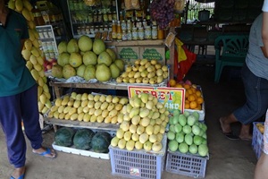 ギマラス島マンゴー市場とイロイロ観光。フィリピン留学やドゥマゲテ留学（ドゥマゲッティ）中に楽しめる人気スポットで、甘いマンゴーと街歩きが魅力の観光地。