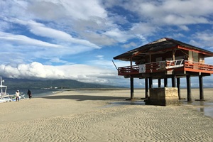 ホワイトサンドバーとドルフィンウォッチング。フィリピン留学やドゥマゲテ留学（ドゥマゲッティ）で人気の観光アクティビティで、写真映えする絶景スポット。